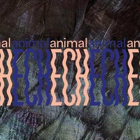 Guided tours of the exhibition animalECH