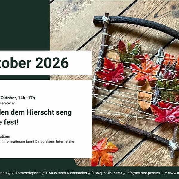 Nous capturons les couleurs de l'automne !