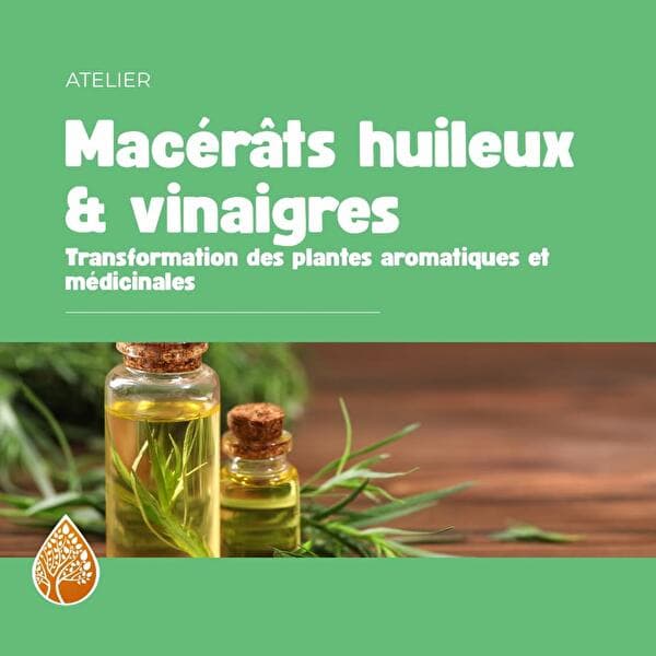 Macérâts huileux vinaigres