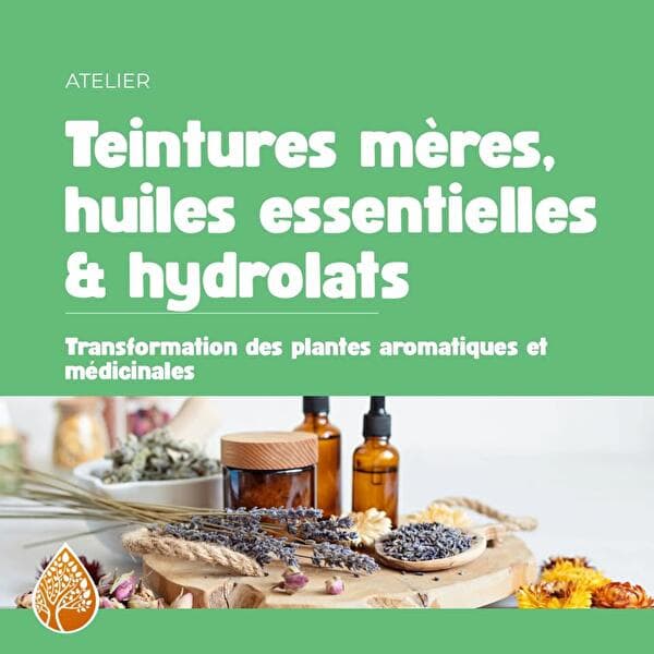 Teintures mères, huiles essentielles et hydrolats
