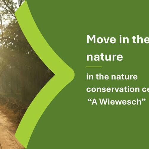 Move in the rhythm of nature