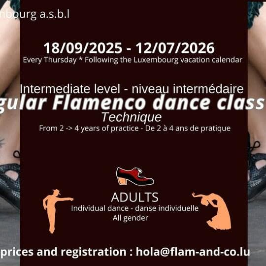 Flamenco for adults: INTERMEDIATE 2: Technique