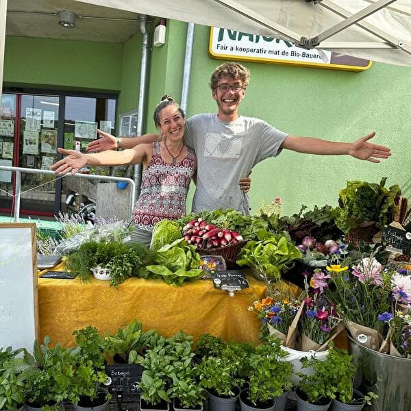Marché de légumes à la ferme – Kass-Haff (Chaque vendredi)