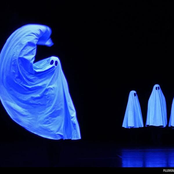 Pillowgraphies