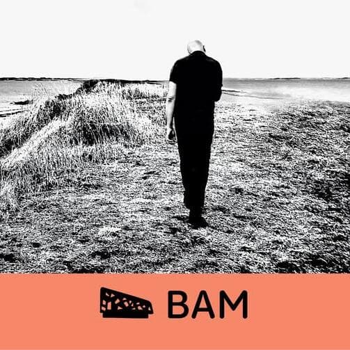 Dominique A • BAM • Metz