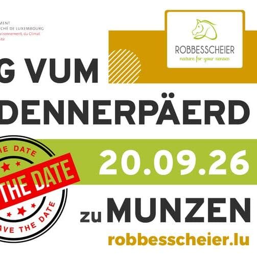 Dag vum Ardennerpäerd 2026 – Journée du Cheval Ardennais !