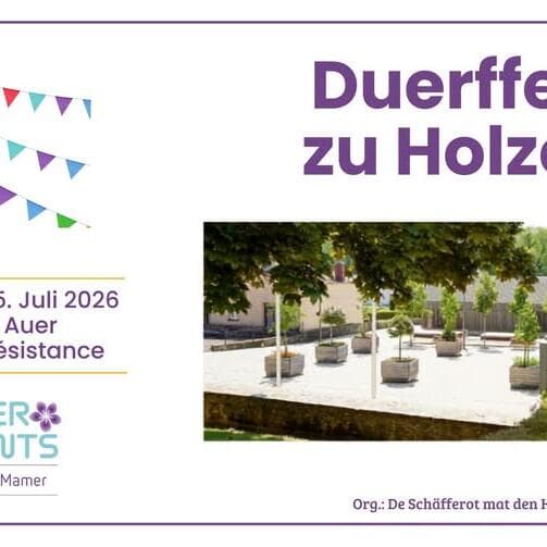 Village festival in Holzem