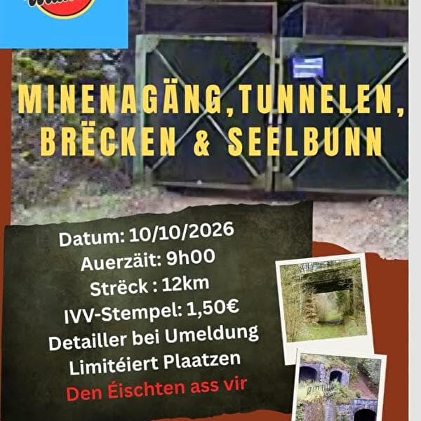 Mine visit, tunnel, bridges and railway