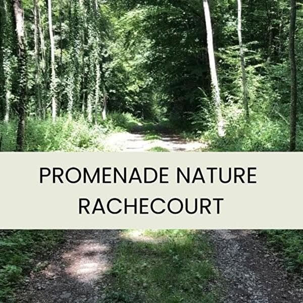Nature walk | “La cour des Grands”