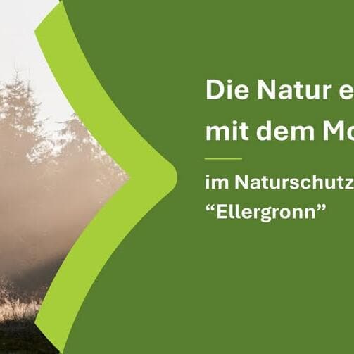 Discover nature by mountain bike