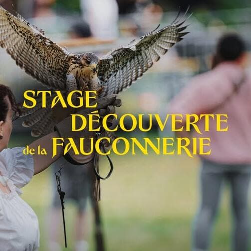 Initiation à la fauconnerie enfant / adulte