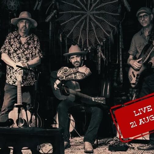 Concert live / musique americana / Bandit's Pine