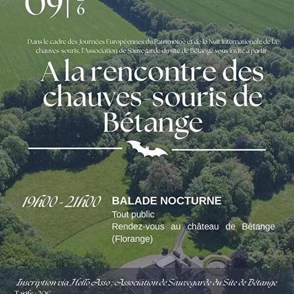 Meet the bats of Bétange