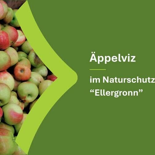 Äppelviz