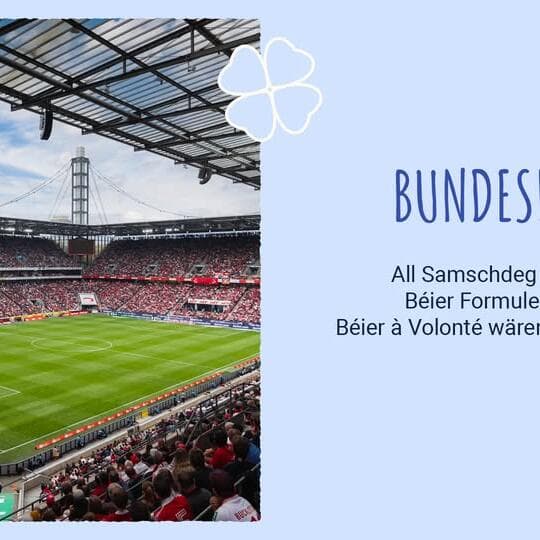 Bundesliga en direct