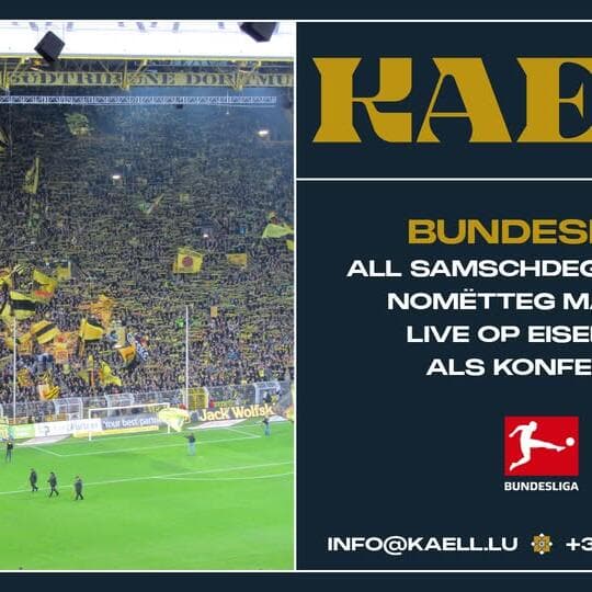 Bundesliga live