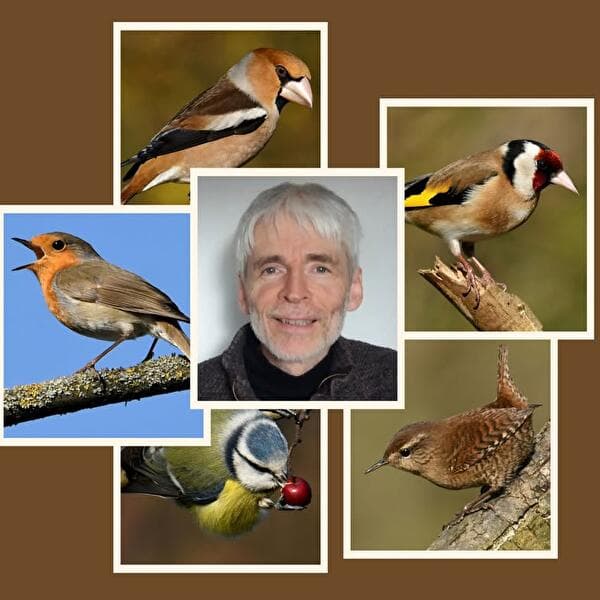 Talk: “Garden Birds”