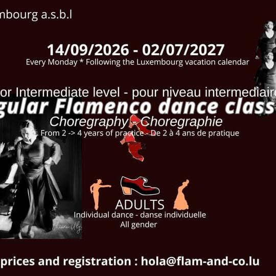 Flamenco adultes : intermédiaire 1 – chorégraphie chaque lundi