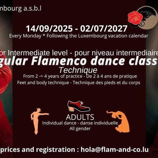 Flamenco adultes : intermédiaire 1 – cours de technique