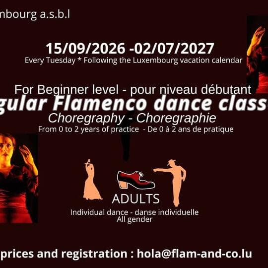Flamenco adultes : débutants – chorégraphie chaque mardi