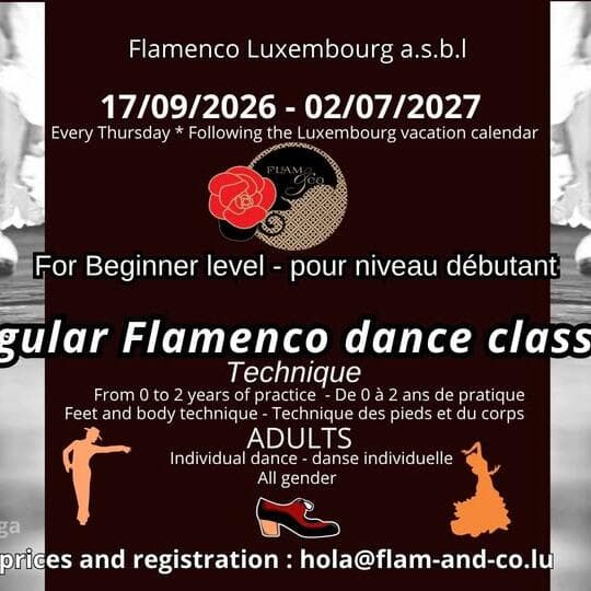 Flamenco adulte débutant : technique