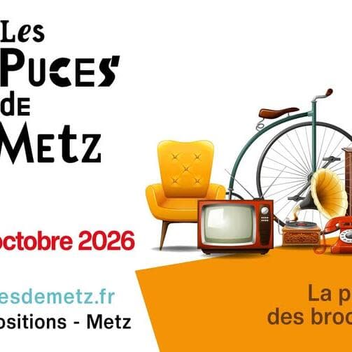 Les Puces de Metz