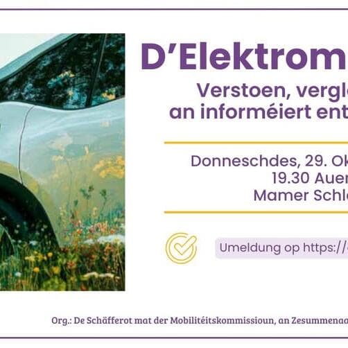 Conference on electric mobility – understand, compare and make an informed decision