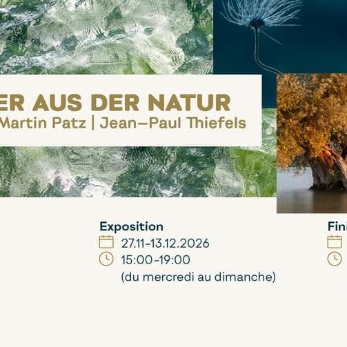 Exhibition: MOMENTER AUS DER NATUR
