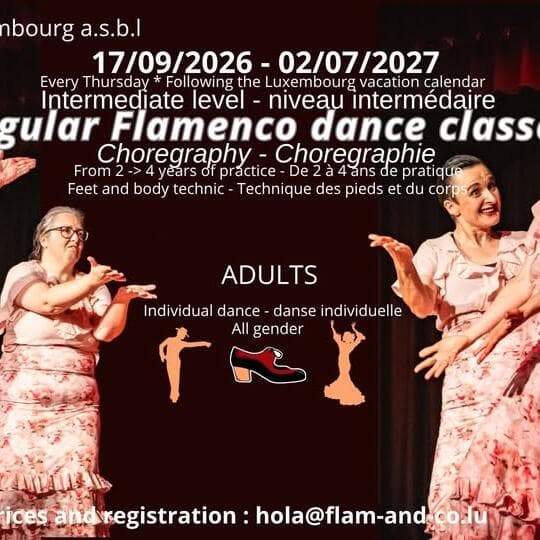 Flamenco adultes : Intermédiaire 2 – chorégraphie, chaque jeudi