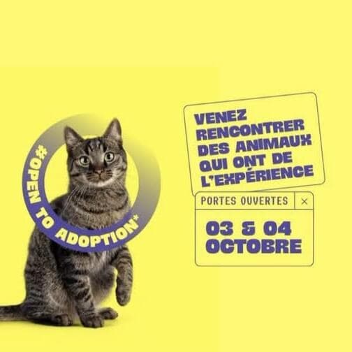 Portes Ouvertes SPA Thionville