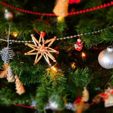 Christmas Celebration · Amiperas