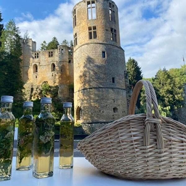 Randonnée aux herbes sauvages et vinaigre aux herbes