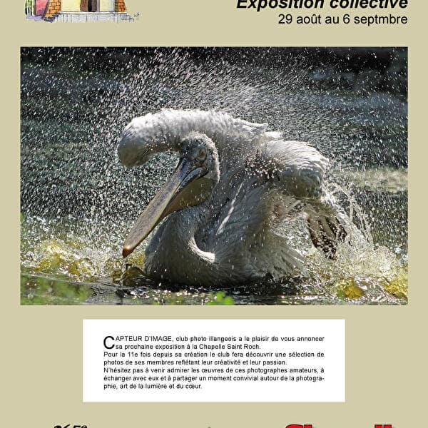 Exposition Capteur d'image
