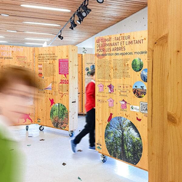 Exhibition - The Forests of the Grand Est Facing Climate Change