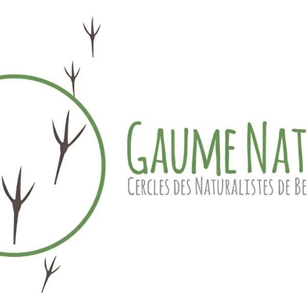 Reconnaissance des arbres et arbustes de nos régions