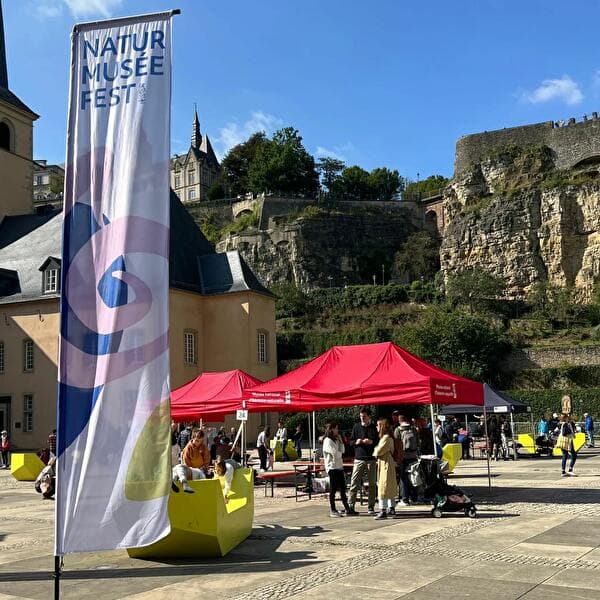 Naturmuséefest