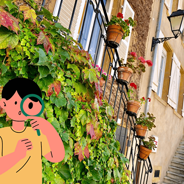 Théodon on the Trail of the Winemakers