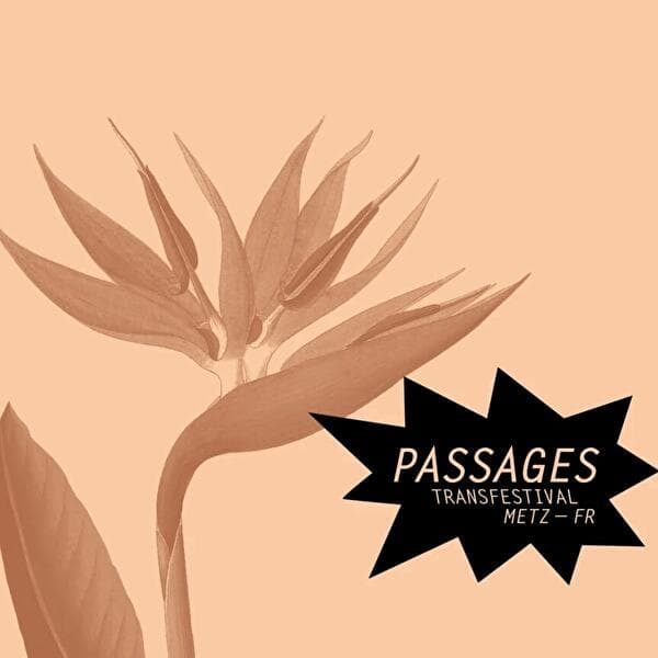 Passages Transfestival