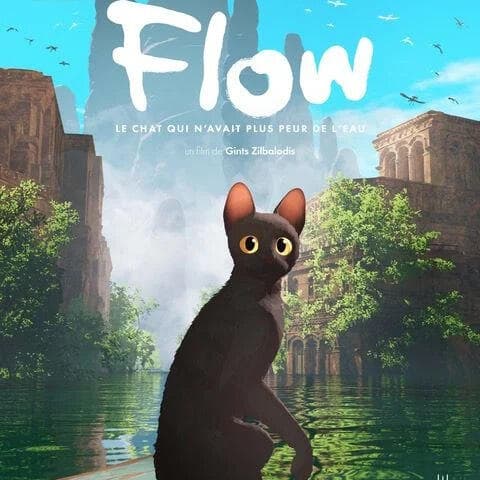 Flow - Outdoor Cinema
