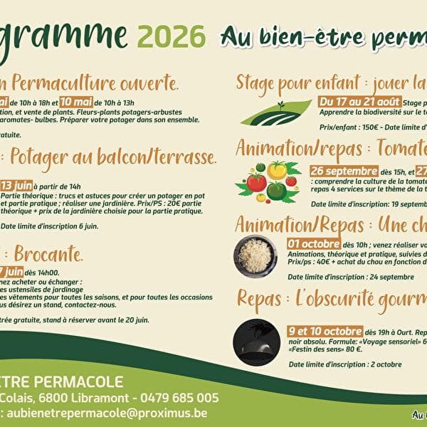 Activity / meal: Tomatez-vous