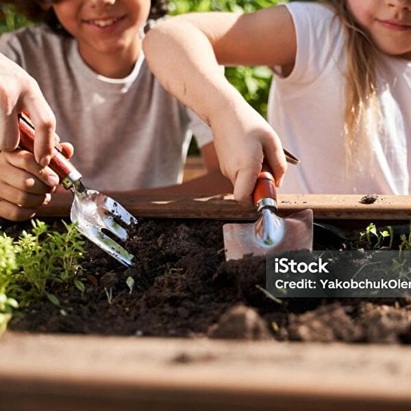 Nature Day - Garden Operation!