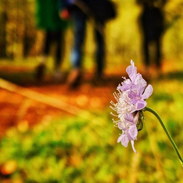 Hiking by Ursula