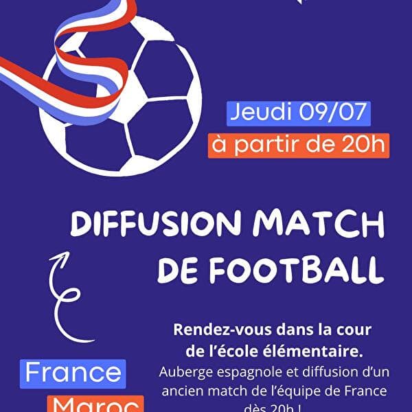 Broadcast of the World Cup quarter-final – France / Paraguay