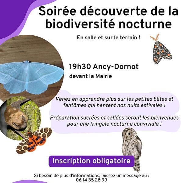 Evening discovery of nocturnal biodiversity