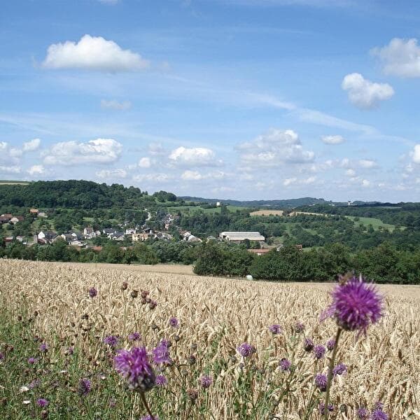 Village Festival