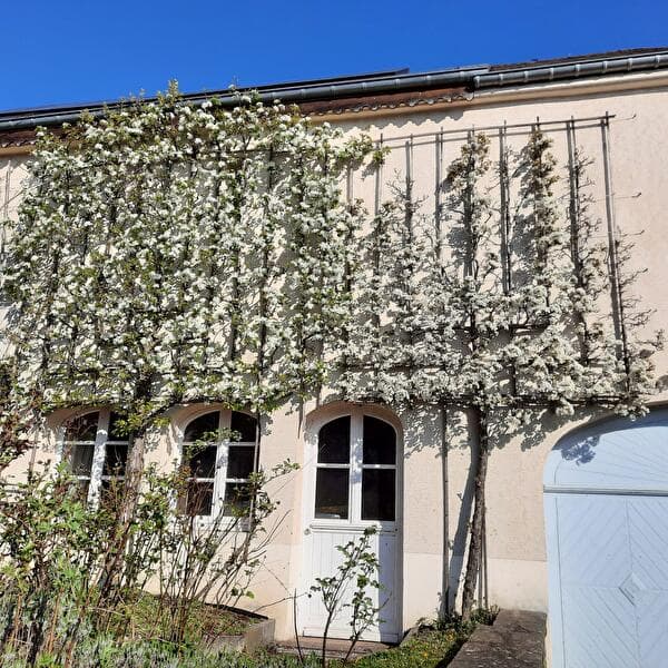 Introduction : Façade végétalisée