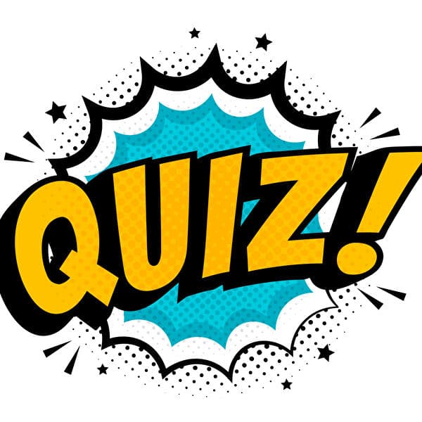 Quiz afternoon