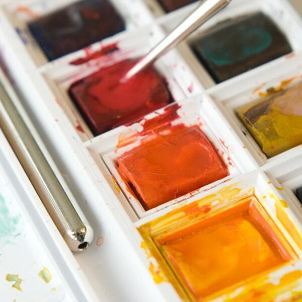Watercolour workshop