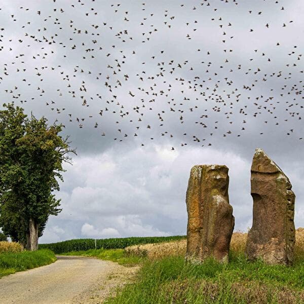Running and Nordic Walking Course - Menhirs Festival