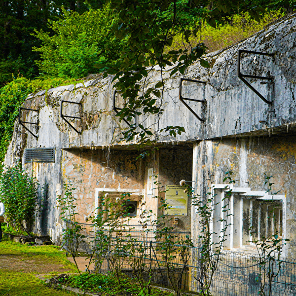 Visite guidée de l'ouvrage du Michelsberg